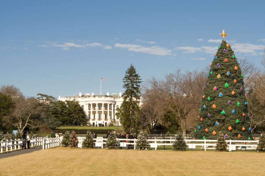 national christmas tree in fron of the white house