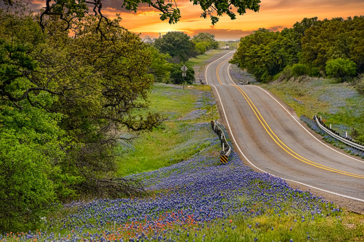 texas hill country with bluebonnets and highway near Fort cavazos