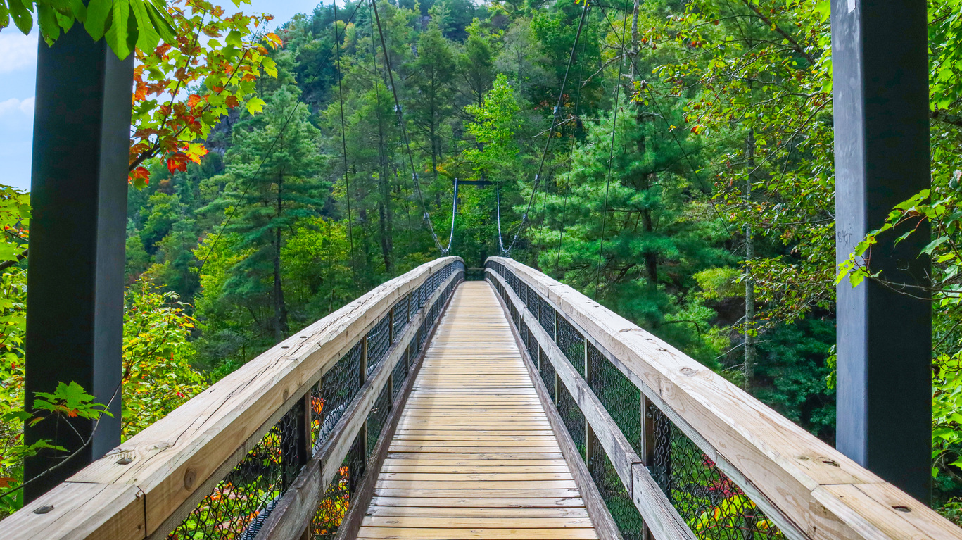 Suspension bridge located at Tallulah Gorge State Park in Tallulah Falls, Georgia.