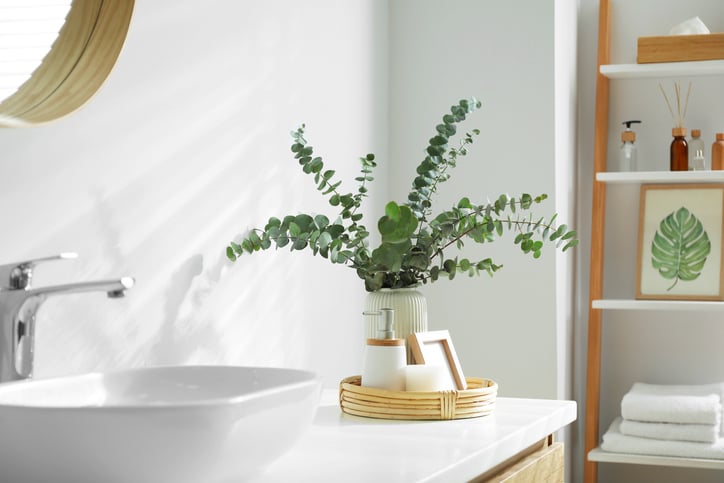 bathroom sink with plant and hanging towels