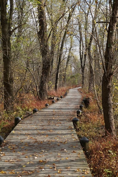 Theodore Roosevelt island which is a great outdoor getaway from DC