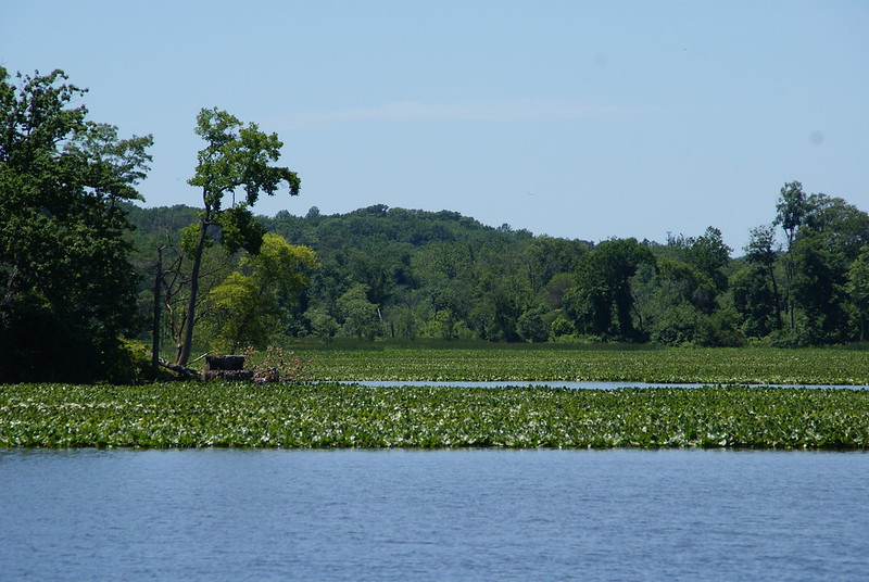 Pohick Bay in Virginia