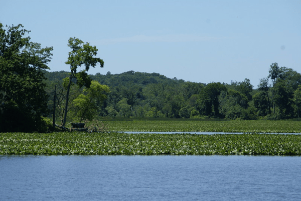 Pohick Bay