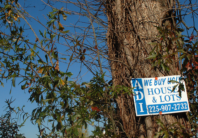 Who's behind the "We Buy Houses" signs?