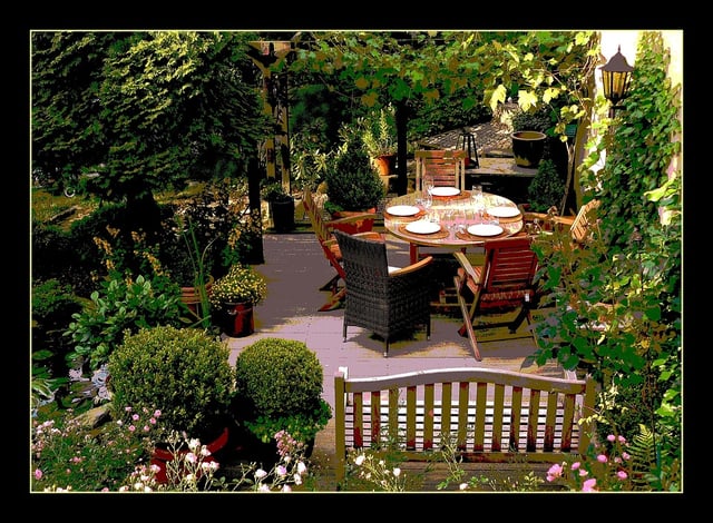 potted plants.jpg