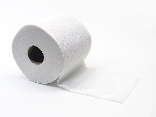 toliet paper.jpg