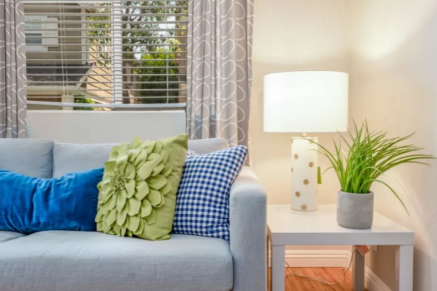 Photo of gray couch with blue and green pillows on it next to a small table with a lamp and green plant. 