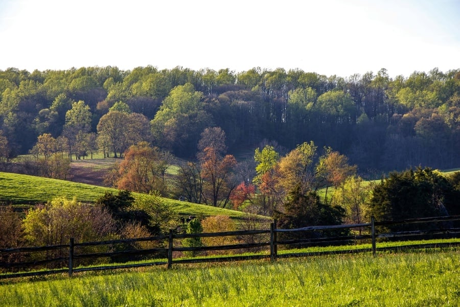 View of rolling hills with multi-colored trees, green grass and a wooden fence. 