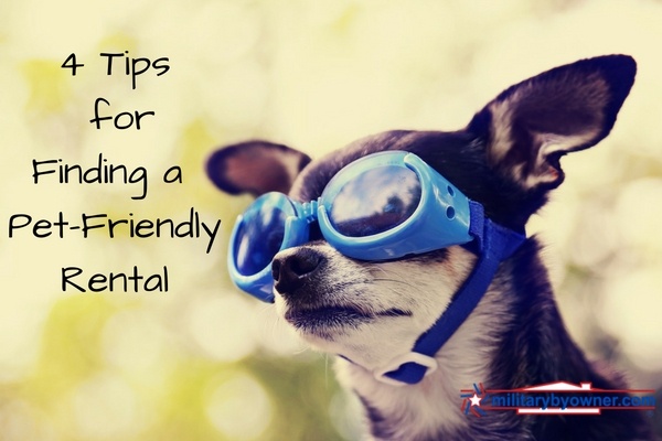 4_Tips_for_Finding_a_Pet-Friendly_Rental_1.jpg