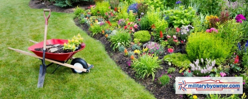 landscape-your-new-home-on-a-budget.jpg